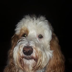 Meet your Posher, Chryl